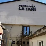 Pensiunea La Iani 3*