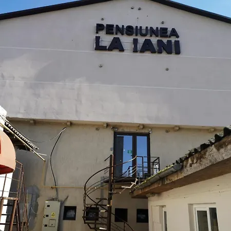 Pensiunea La Iani 3*