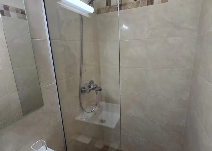 Pensiunea La Iani 3*